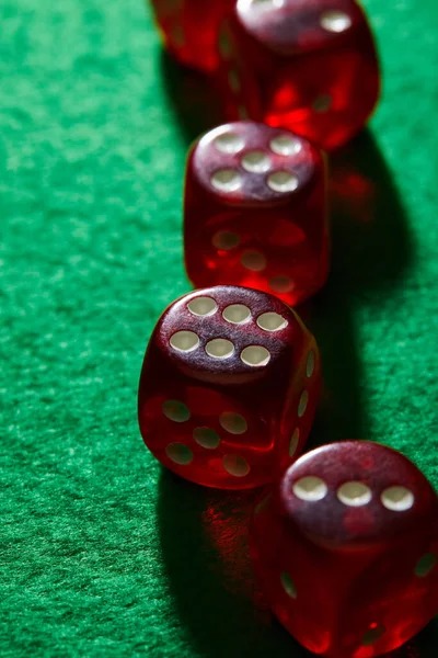 08 togel sports betting interface